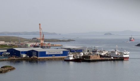 Shetland Catch has seen profits fall from £5.6m to a loss of £6m due to a flood of cheap mackerel.