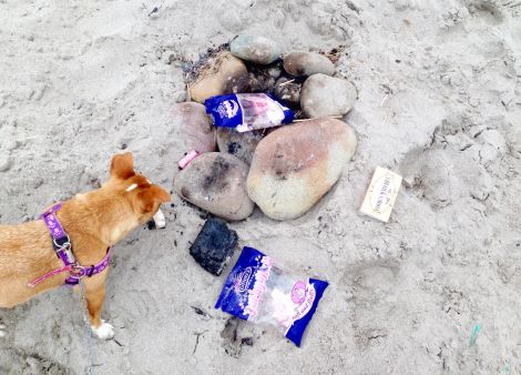 Empty marshmallow packets were left around a bonfire from the night before. Photo: Ali Grundon