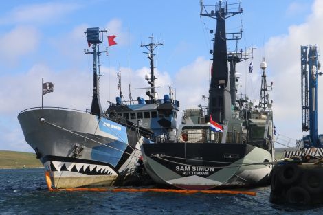 Two Sea Shepherd vessels, the Sam Simon and the Bob Barker are currently berthed at Lerwick harbour - Photo: Ian Leask