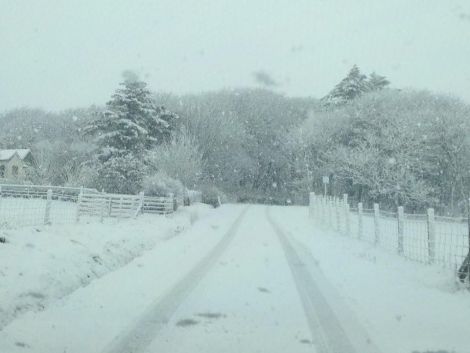Kergord valley also suffered heavy snow fall. Photo: Elaine Falconer