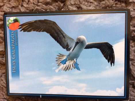 The postcard from the Galapagos arrived more than two years after it was sent.