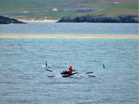 Jonny Christie's brilliant photo captures the Bigton rowers' encounter with orcas on Monday evening.