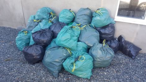Joy Allan helped to collect 40 bags of bruck from the Black Gaet on Saturday.