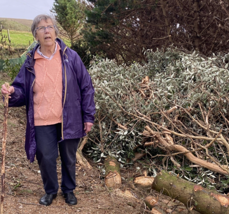Elderly woman standing next to cut branches, holding a walking stick.