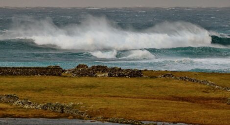 A large wave crashing in front of a grassy field.
