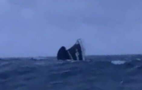 Humpback whale breaching in a choppy ocean.