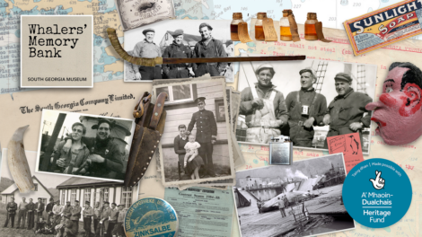 Collage of historical items and photos related to whaling, including old photographs of whalers, maritime artifacts, newspaper clippings, and product advertisements.